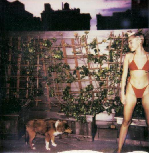 Miley Cyrus Nude Top To Bottom In Polaroids For V Mag 13