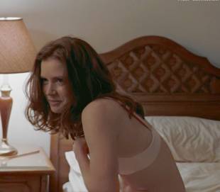 amy adams topless flash in sunshine cleaning 5987 6