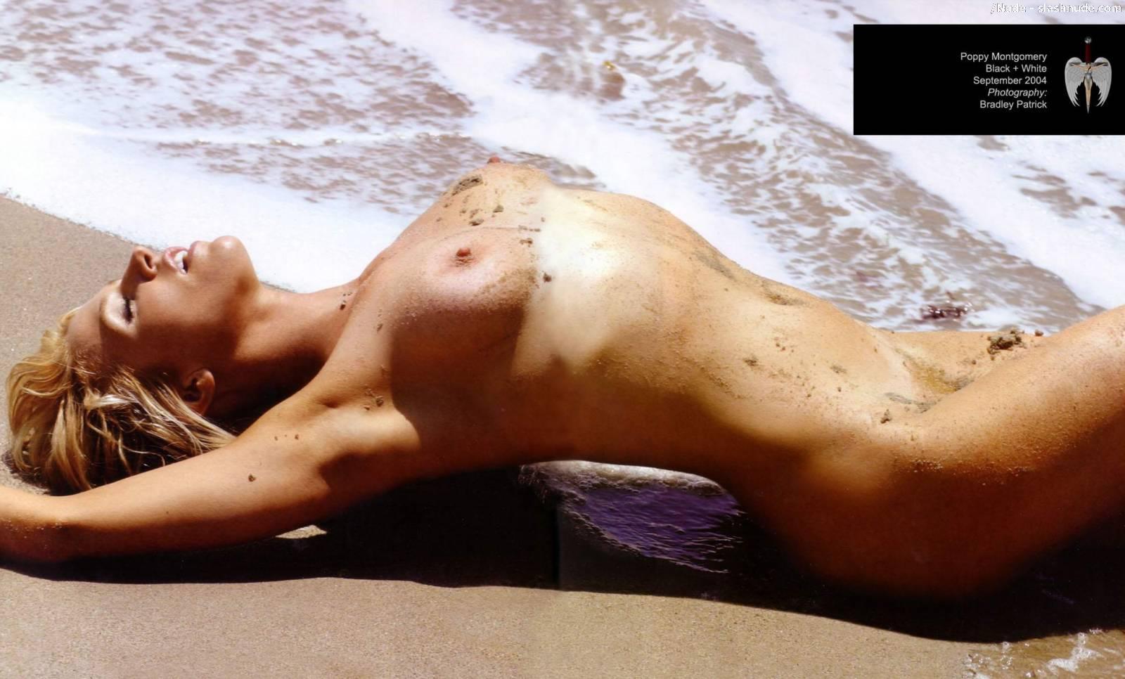 Poppy Montgomery Nude Is Definitely Unforgettable 6