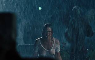 abbie cornish breasts in wet see through from seven psychopaths 0667 15