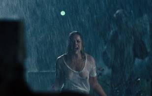 abbie cornish breasts in wet see through from seven psychopaths 0667 3