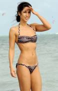 leilani dowding topless dog walker at miami beach 7182 7